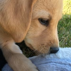 Meet your Posher, Christine